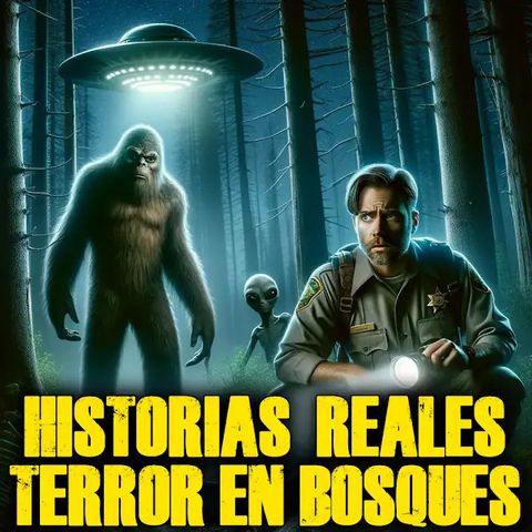 TERROR en los BOSQUES: El Misterio del Montañista Desaparecido