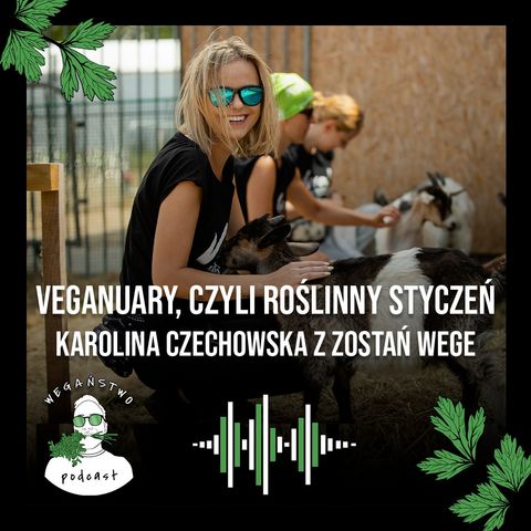 Veganuary, czyli roślinny styczeń. Karolina Czechowska z Zostań Wege - odc. 48