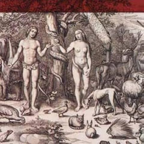 Adam's Ancestors: Race, Religion, and the Politics of Human Origins