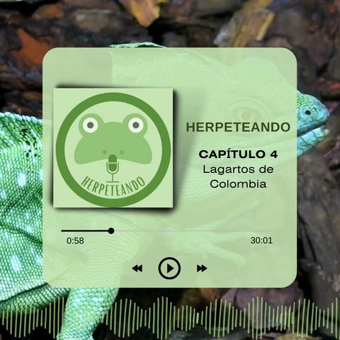 Capitulo 4 Lagartos