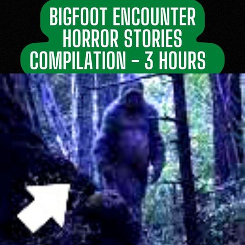 REAL BIGFOOT ENCOUNTER HORROR STORIES COMPILATION - 3 HOURS