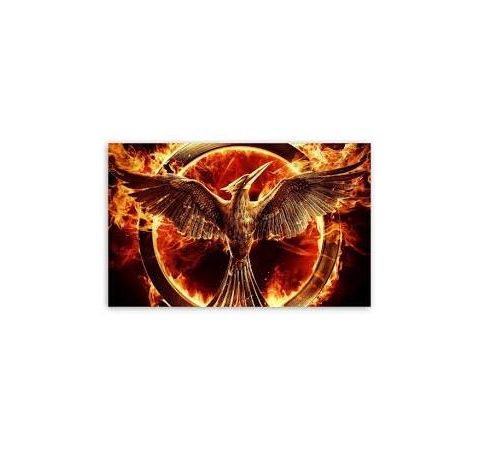 The Hunger Games: Mockingjay Pt.1