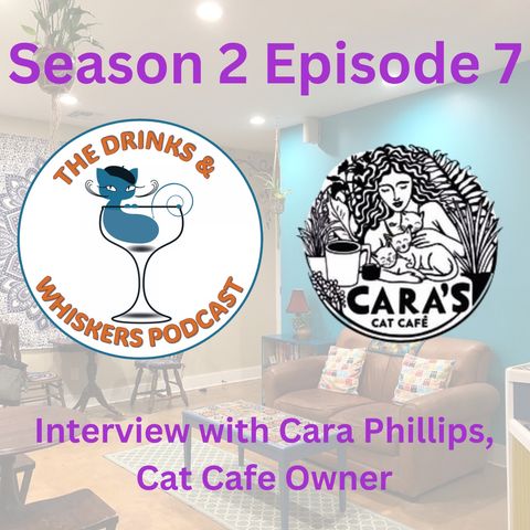 S2E7: Interview with Cat Cafe Owner, Cara Phillips