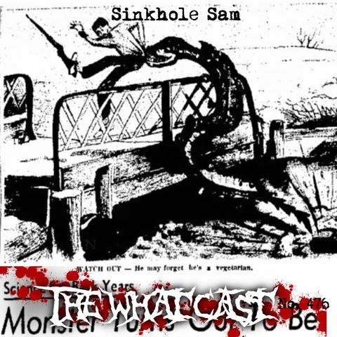 The What Cast #476 - Sinkhole Sam