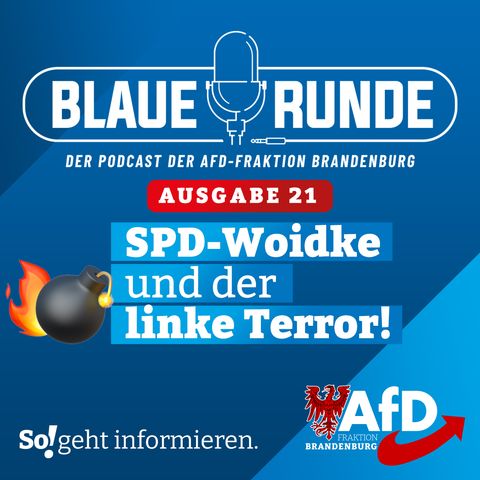 SPD-Woidke und der linke Terror! | Die Blaue Runde, Ausgabe 21/24 vom 22.03.2024