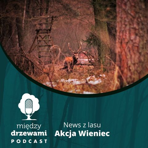 News z lasu - Akcja Wieniec [opowiada Michał Wieciech]