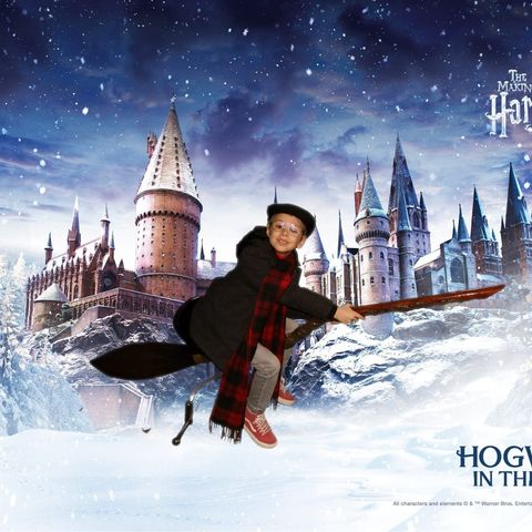 ESTUDIOS DE HARRY POTTER