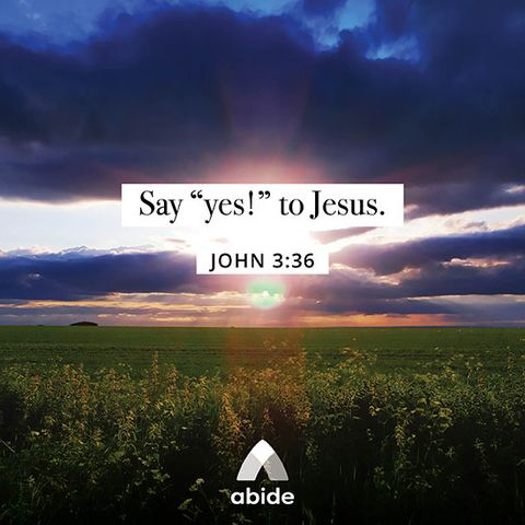 Why Believe?