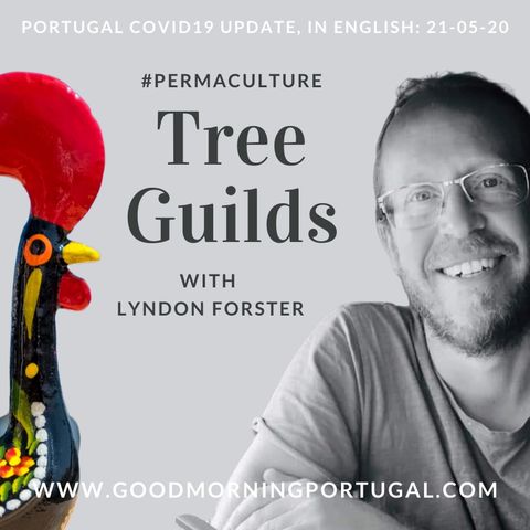 Portugal Covid news & weather update PLUS 'Talking Tree Guilds'