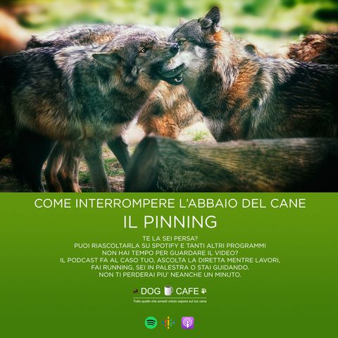 #015 - Come interrompere l'abbaio del cane: il PINNING