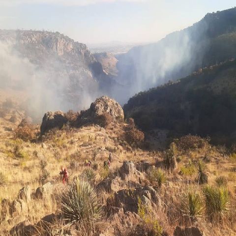 Sofocan incendio en cerro de Aguascalientes