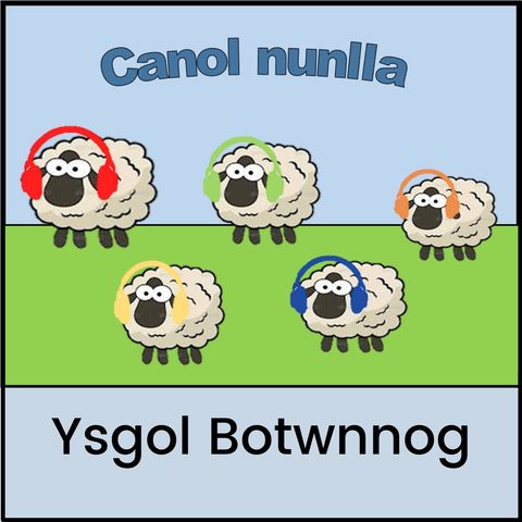 Ysgol Botwnnog - Enlli a'i Phobl