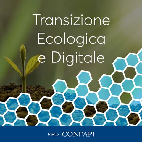 Intervista a Carlo Antonini - Transizione Ecologica e Digitale - 13/06/2022
