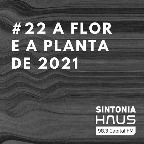 Tendências: conheça a planta e a flor do ano de 2021 | Sintonia HAUS #22