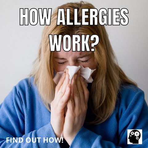How Does Your Allergy Attack You?