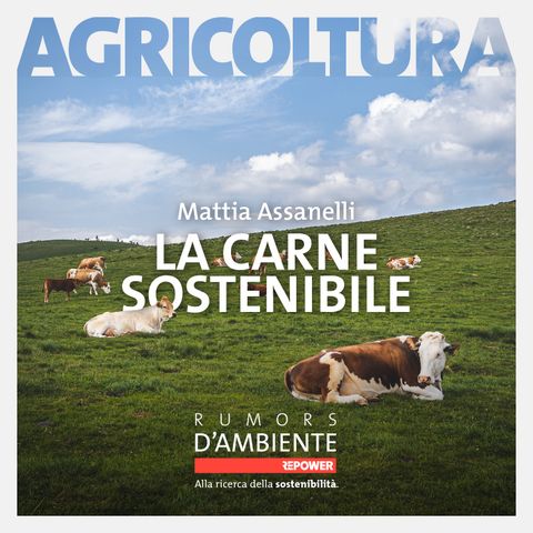 Mattia Assanelli - La carne sostenibile