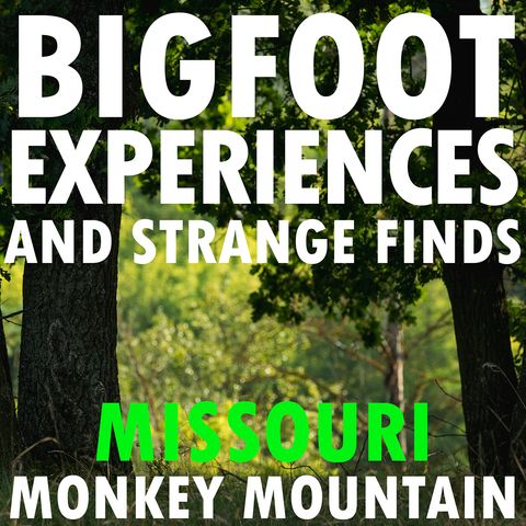 BIGFOOT EXPERIENCES ON MONKEY MOUNTAIN IN MISSOURI! (I FOUND A STRANGE TRACK AND SIGN OF BIGFOOT)