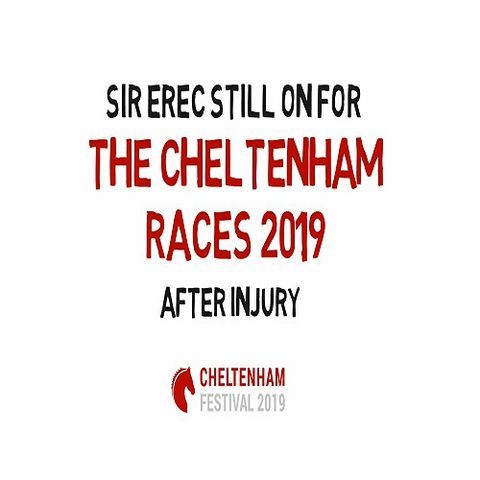 Sir Erec Still On For The Cheltenham Races 2019 After Injury