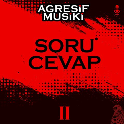 Soru Cevap II