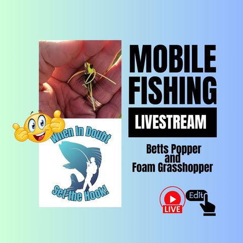 Pond Fly Fishing a Betts Popper and Foam Grasshopper, Mobile Fishing Livestream 33 (Audio Podcast)