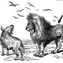 The Lion And The Boar