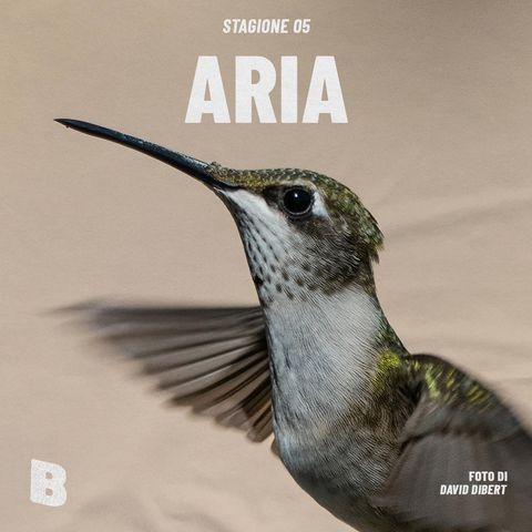 Ep 45 • Aria