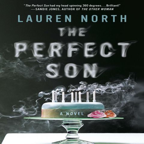 Lauren North - THE PERFECT SON Desmond Ryan - MAN AT THE DOOR