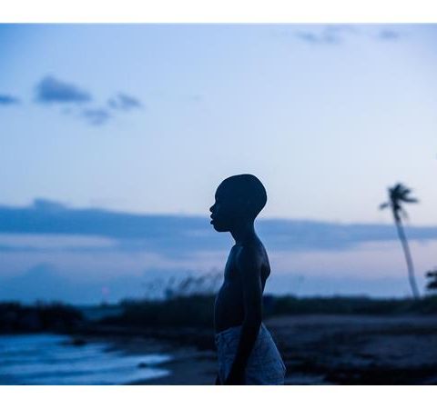 Cinema Royale Explores 'Moonlight', 'Inferno', And Middleburg!