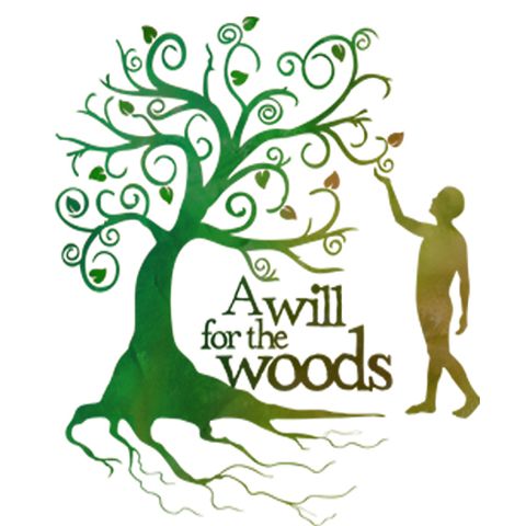 GD Feature: A Will for the Woods