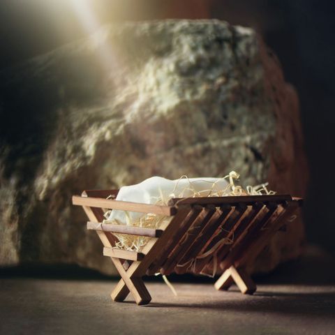 Christ Came into the World to Save Us from the Evil One (Special Podcast Highlight)