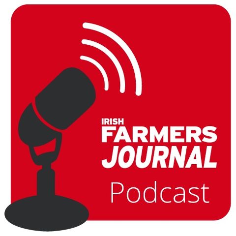 Podcast Ep. 3: Safety and plant growth