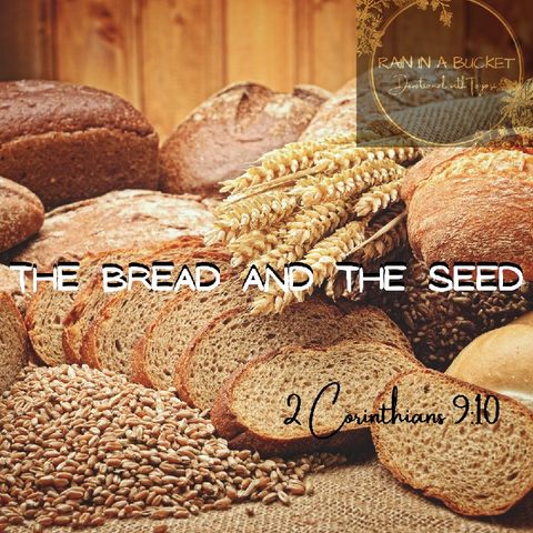 The Bread And The Seed