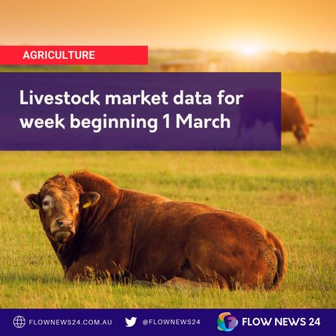 Reviewing the latest Beef, Lamb and Sheep market data from Meat & Livestock Australia