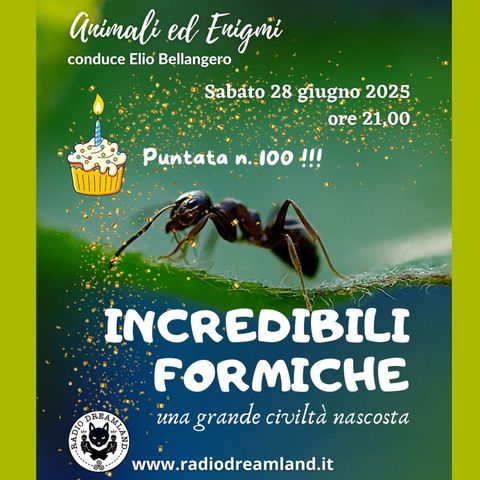 Incredibili Formiche