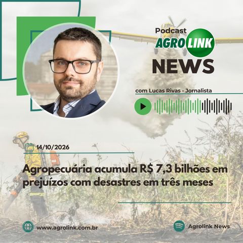 USDA eleva previsão de produção e exportação de algodão do Brasil