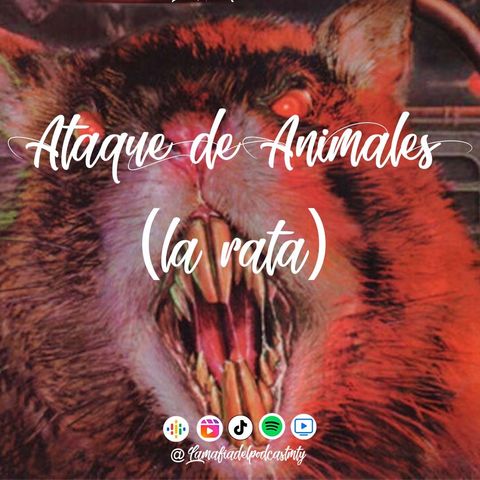 Ataques de animales (La rata)