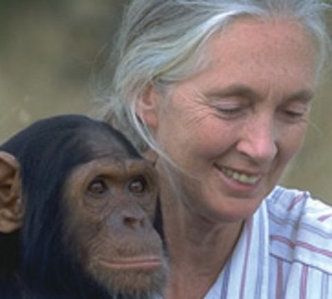 StarWay to... Dr. Jane Goodall