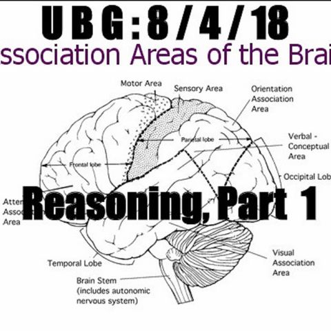 The Unpleasant Blind Guy : 8/4/18 - Reasoning, Part  1