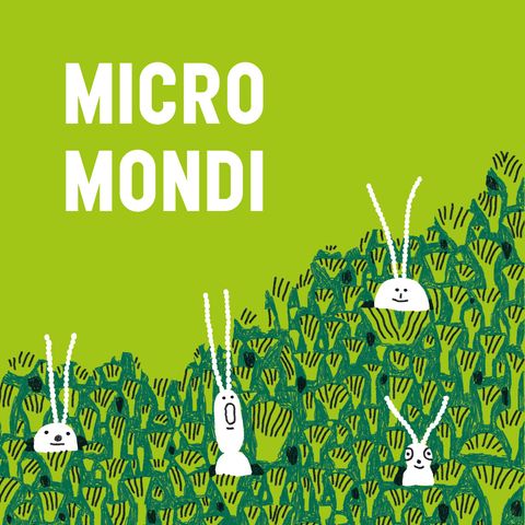 5 — Micro Mondi
