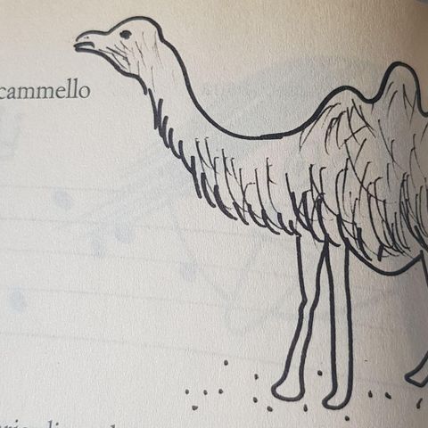 Il dromedario e il cammello - Gianni Rodari
