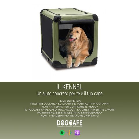 #042 - Il KENNEL: un aiuto concreto per te e il tuo cane