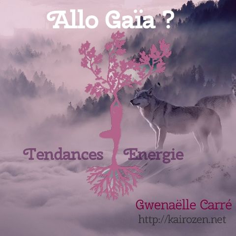 Allo Gaïa - Pleine Lune du 22 décembre 2018 La philosophie du jardinier et le travail des racines