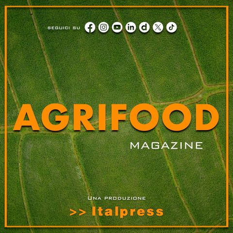 Agrifood Magazine - 5/6/2024