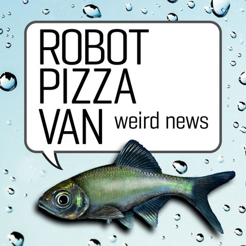 Driving a Hot Dog Car, and Other Weird News Stories: Episode 98