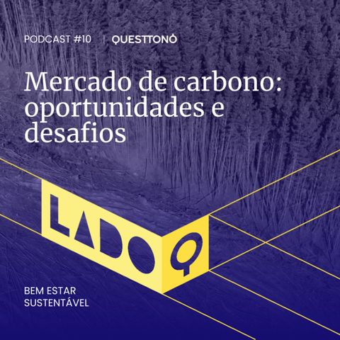 Bem estar sustentável #10: Créditos de carbono, oportunidades e desafios