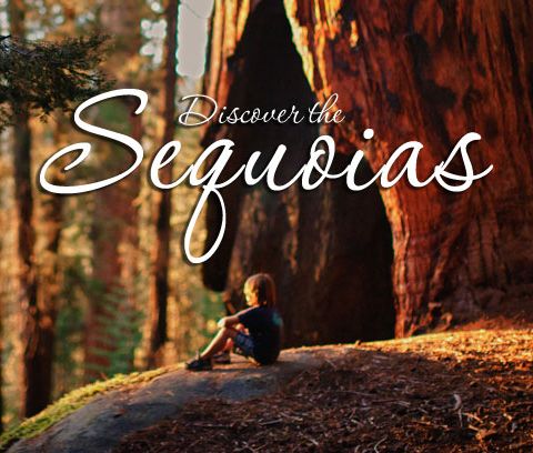 Fall Fun in California's Sequoia Country