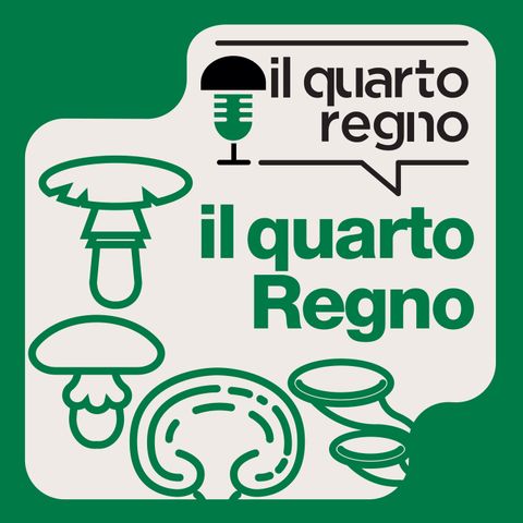 Il Quarto Regno