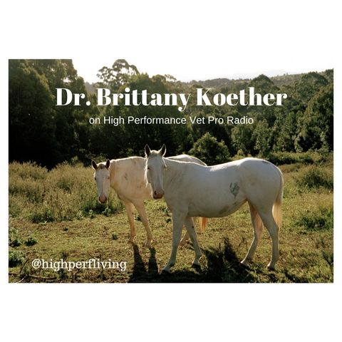 Dr. Brittany Koether Talks about the Life of a Recent Graduate