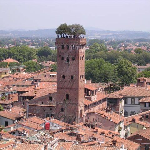 54 - Lucca e i suoi tesori