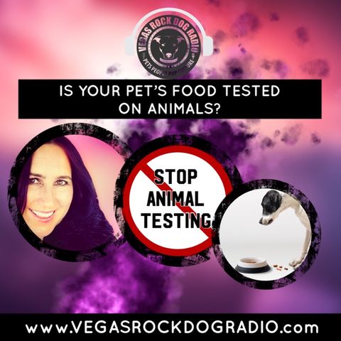 Is Your Pet Food Tested On Animals?